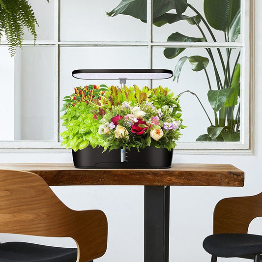 Hydroponic Growing Machine