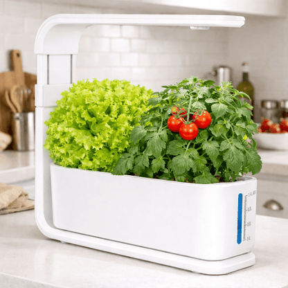 Levenora® EverGreen Smart-Garden