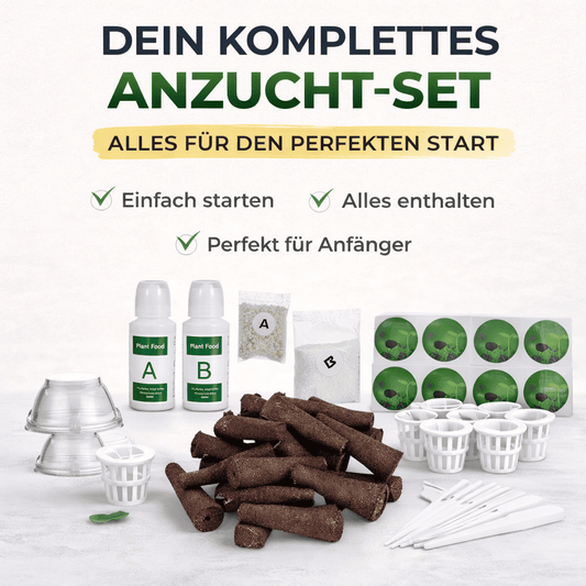 Rundum-Sorglos Anzucht-Set