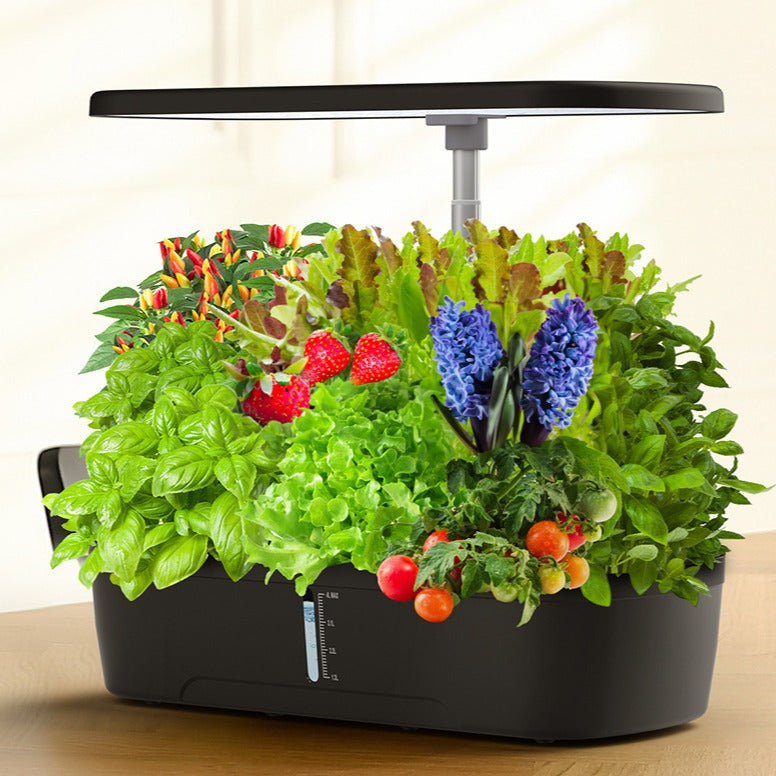 Hydroponic Growing Machine